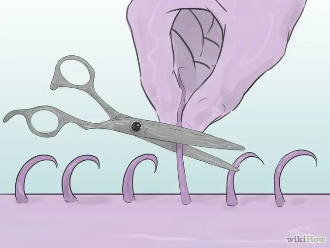 Hoe je schaamhaar scheren stap 1